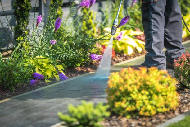 Best Patio and Deck Pressure Washing  in Kettering, MD