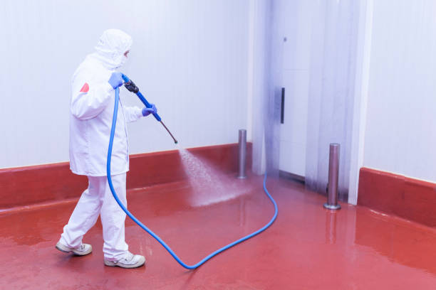 Best Patio and Deck Pressure Washing  in Kettering, MD